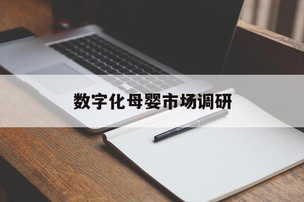 济宁市数字化母婴市场调研(数字化母婴市场调研报告)